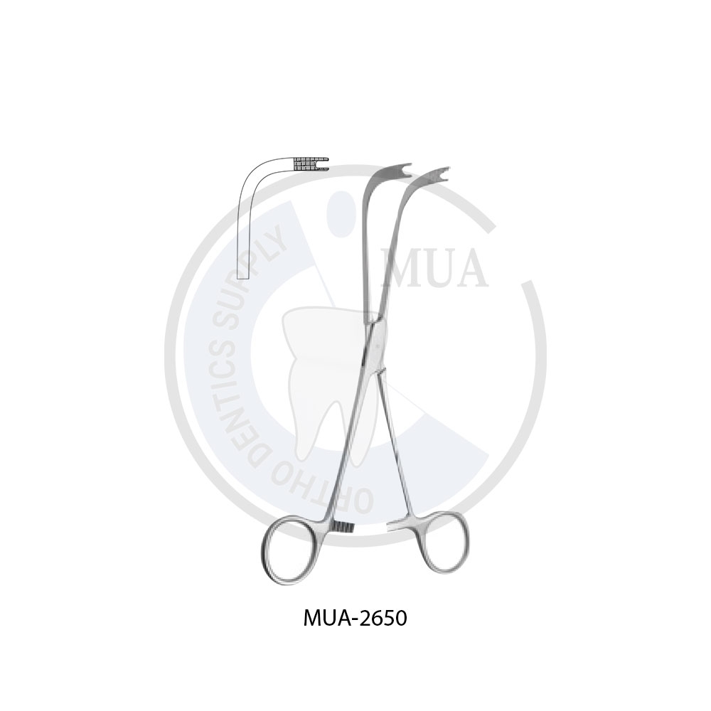 BONE GRAFT HOLDING PLIERS