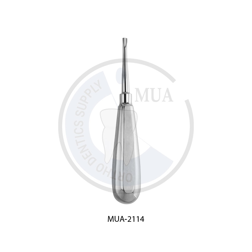 ROOT ELEVATORS LINDO LEVIAN