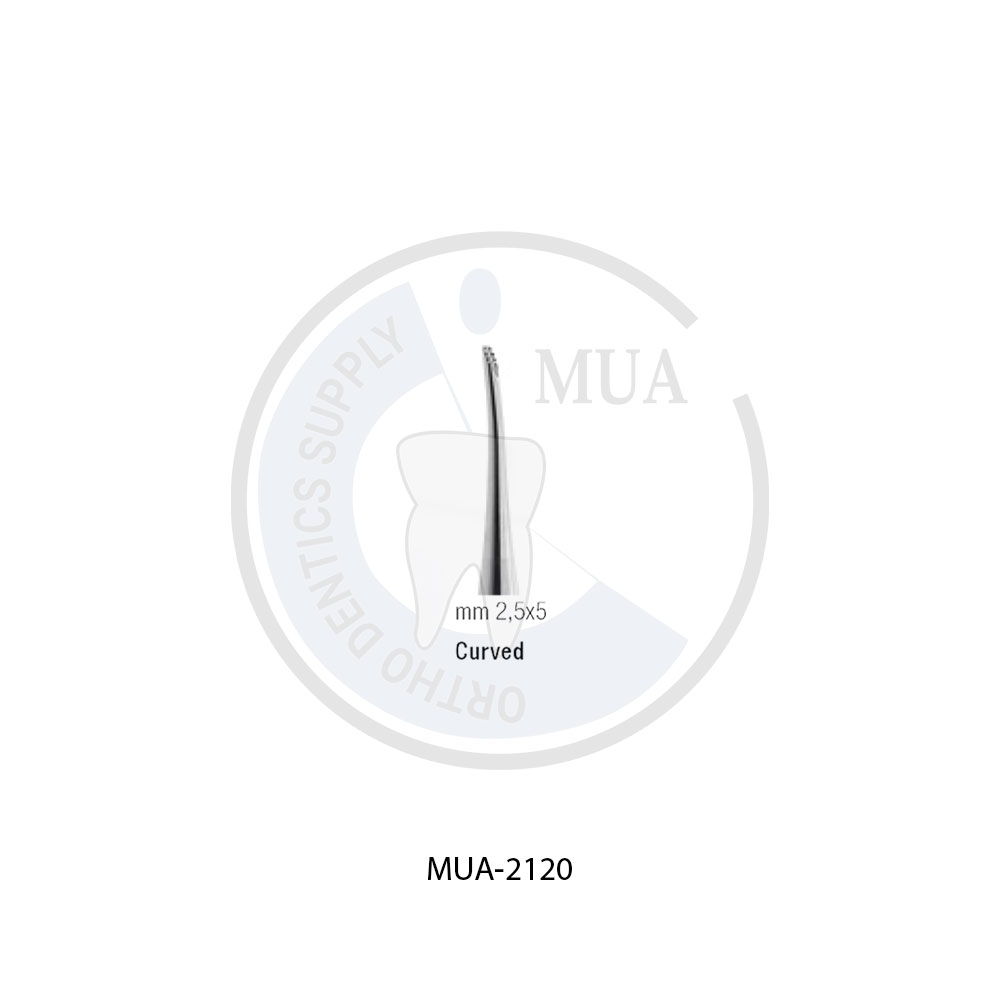 ROOT ELEVATORS LINDO LEVIAN